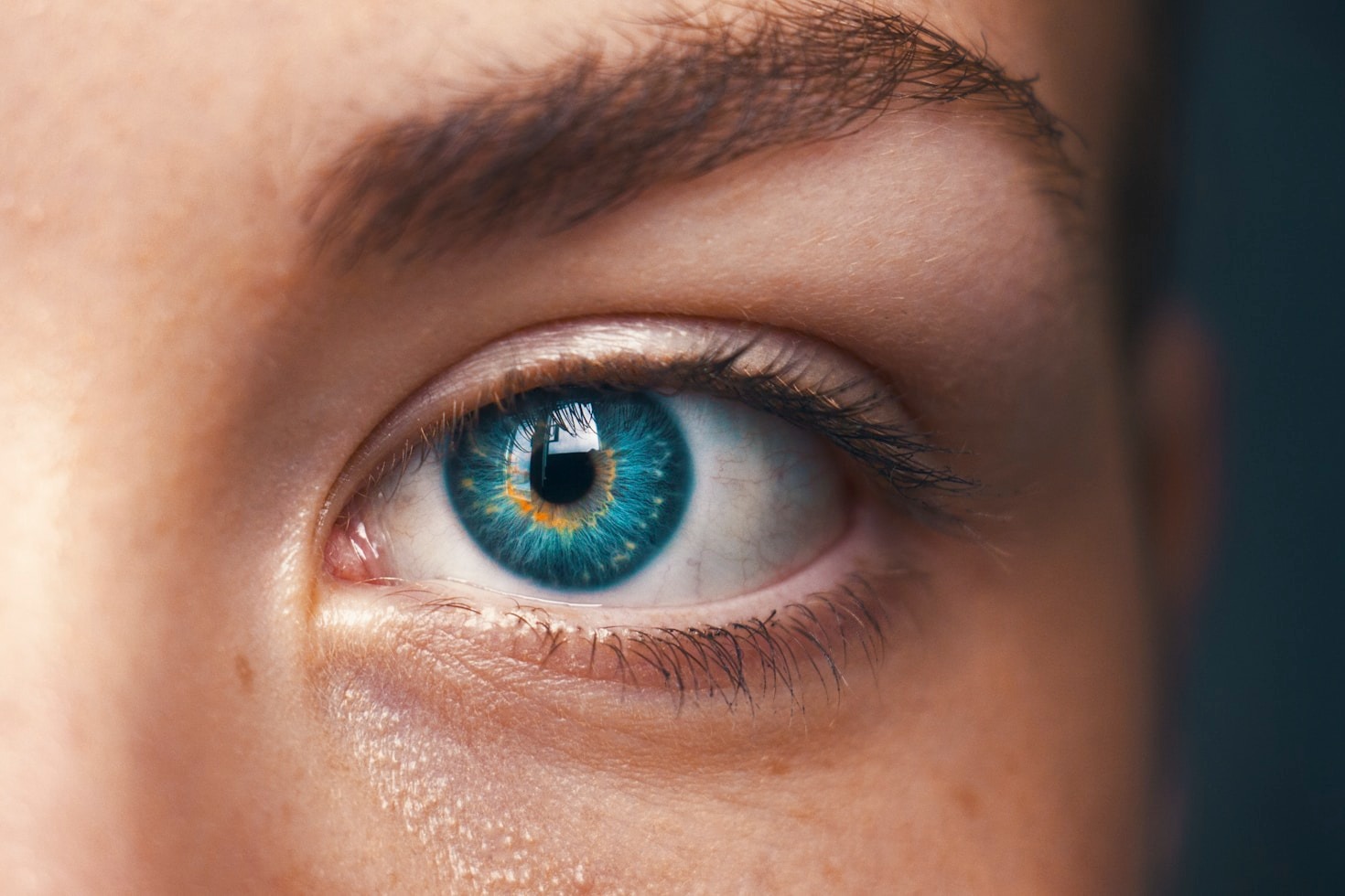 Exploring the Future of AI in Everyday Life